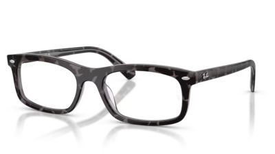 Ray-Ban 5450
